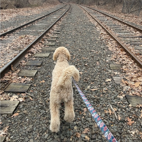 Meet your Posher, Jennifer - Picture 2 of 13